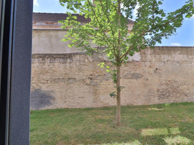 Studio meublé 21 m²