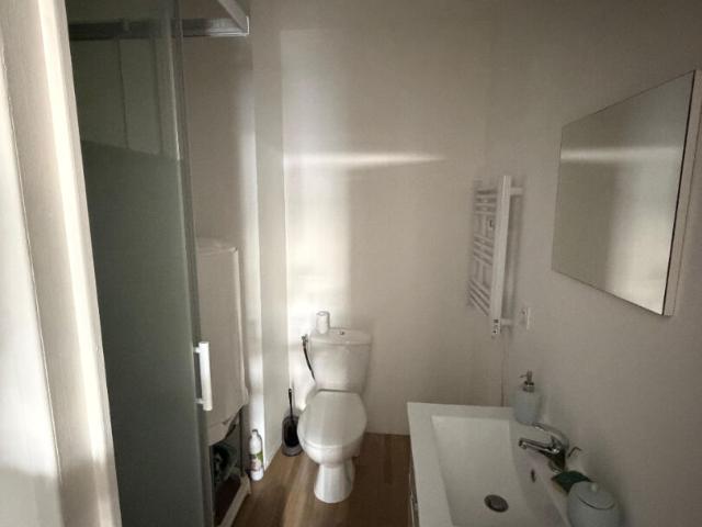 Studio meublé 66 Rue Antoine Durafour
