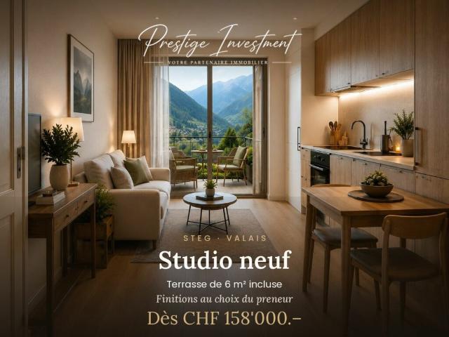 STUDIO NEUF À STEG VS DÈS CHF 158'000