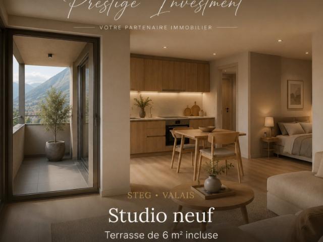 STUDIO NEUF À STEG VS DÈS CHF 161'000 copie