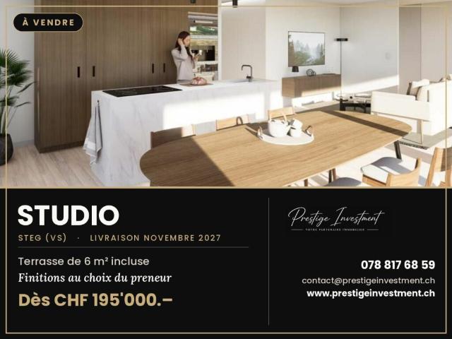 STUDIO NEUF À STEG VS DÈS CHF 158'000