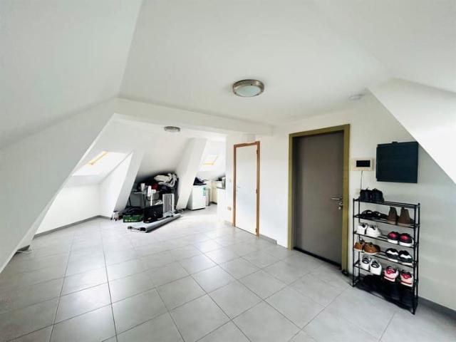 Studio s