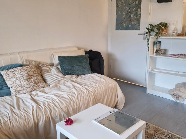 Studio Studio Surface Area: 17m2 Available from: 2026 06 01