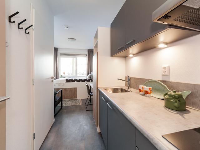 Studio Studio Surface Area: 16m2 Available from: 2026 05 08