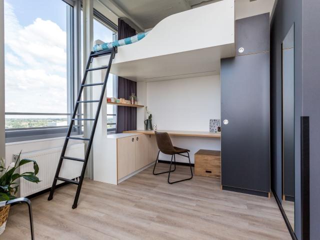 Studio Studio Surface Area: 18m2