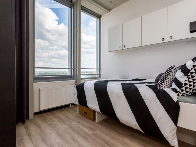 Studio Studio Surface Area: 20m2