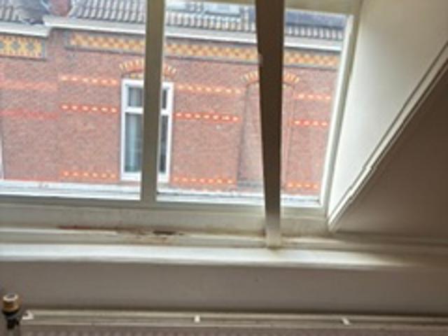 Studio Studio Surface Area: 24m2 Available from: 2026 01 01