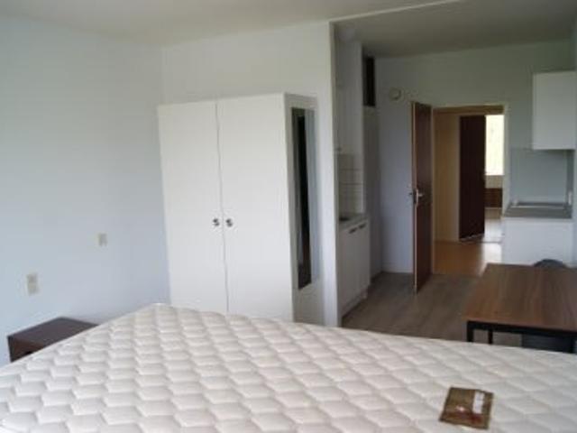 Studio Studio Surface Area: 25m2
