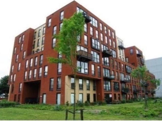 Studio Studio Surface Area: 30m2 Available from: 2026 10 20