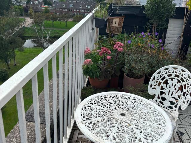 Studio Studio Surface Area: 30m2 Available from: 2026 10 28