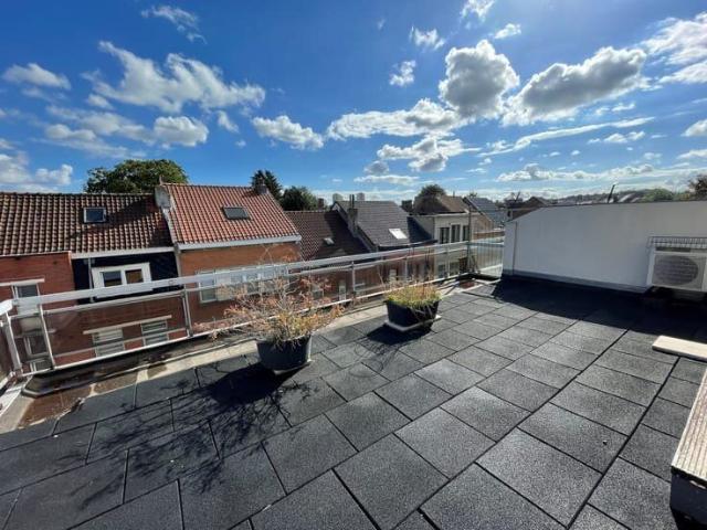 Studio penthouse with spacious terraces, cellar, and park.