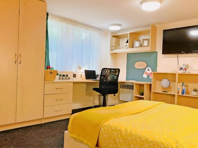 Studio Plus