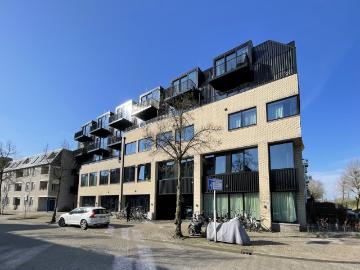 Olland, Meierijstad, Noord-Brabant - Tillen