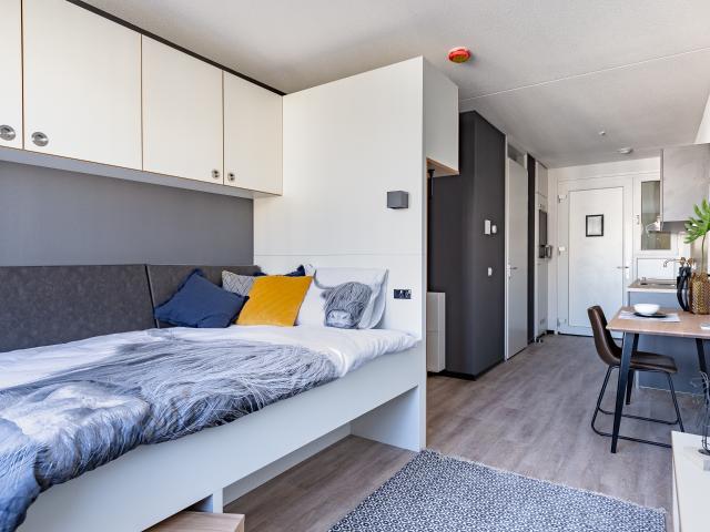 Studio Reykjavikstraat 350 3543 KB Utrecht
