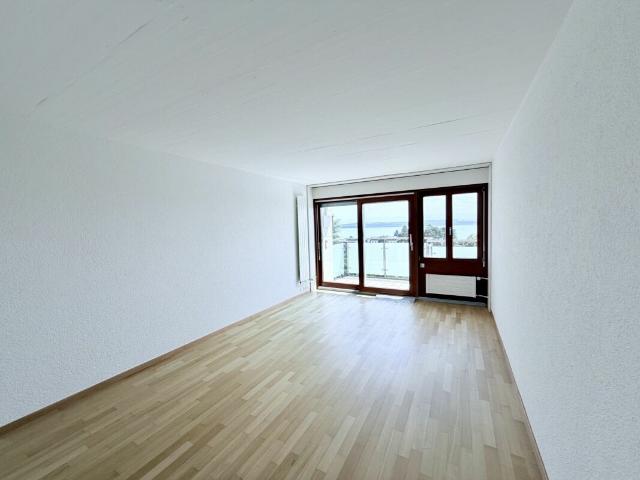 Studio rénové avec encadrement et vue sur le lac