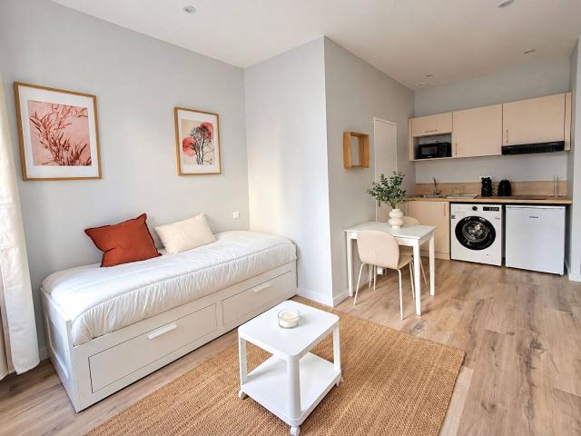 Studio rénové et meublé plein centre Mâcon