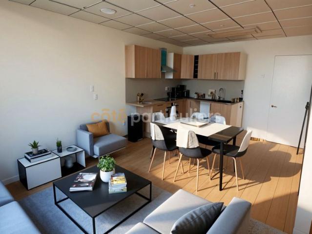 STUDIO RENOVE