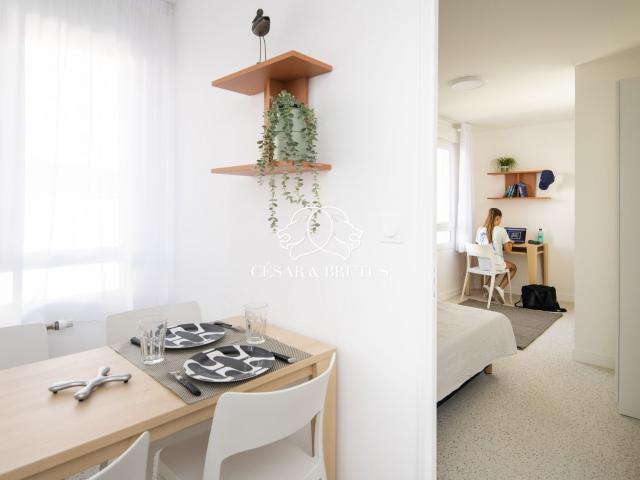 Studio résidence étudiante 'Seven Lodge 3' 18.50 m2 Lyon. 19m² Lyon 7ème