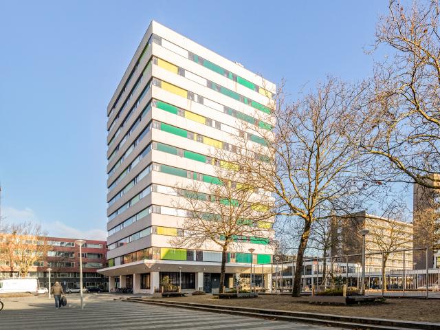 Studio Rijswijkstraat 175 C14 1062 EV Amsterdam