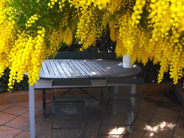 Studio, with outdoor area in Valldoreix