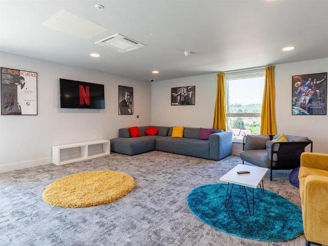 Studio to rent