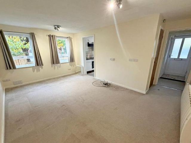 Studio to rent