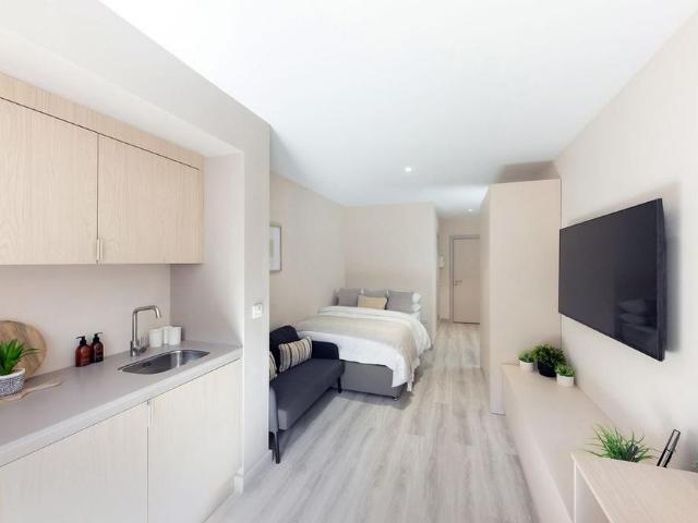 Studio to rent