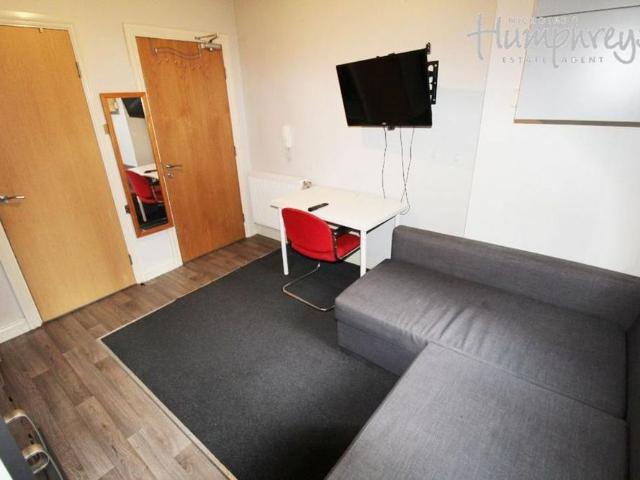 Studio to rent