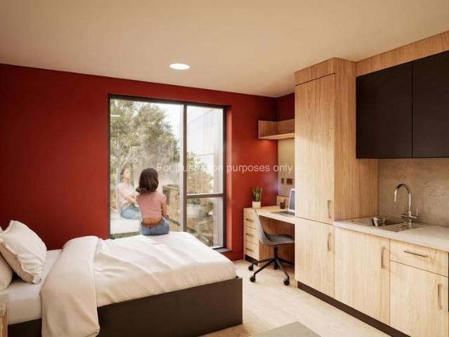 Studio to rent