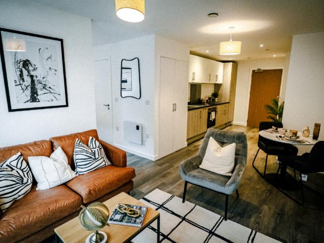 Studio to rent