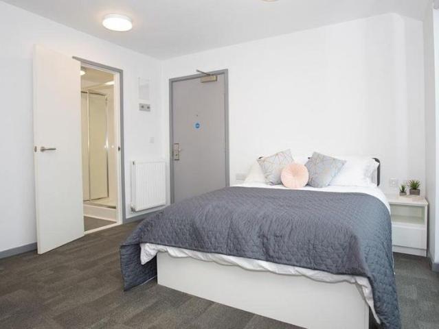 Studio to rent