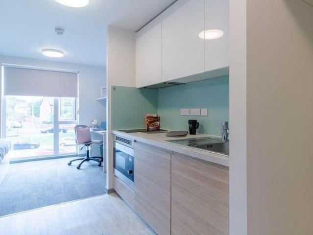 Studio to rent