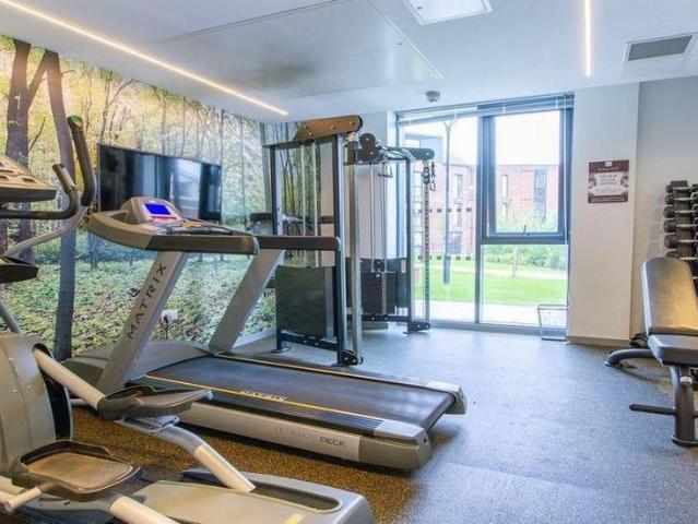 Studio to rent
