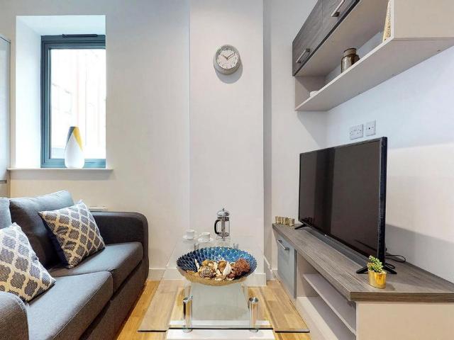 Studio to rent