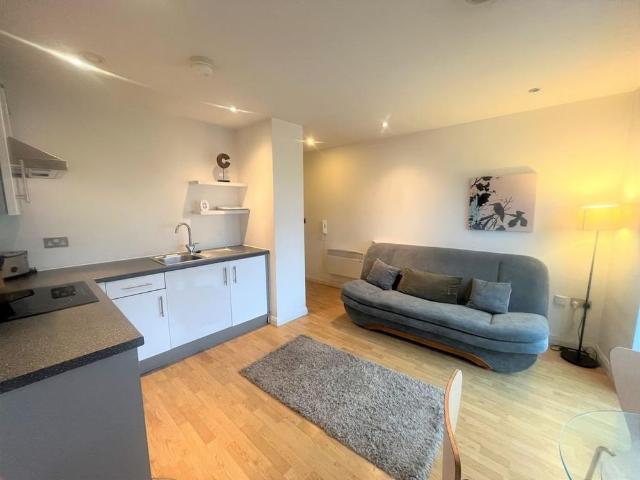 Studio to rent