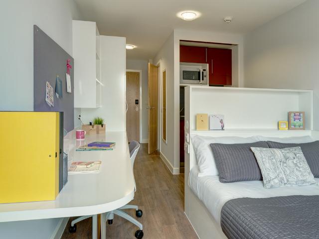 Studio to rent