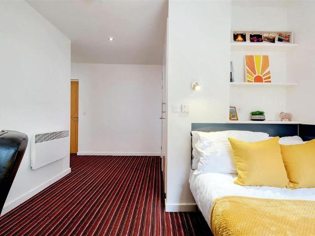 Studio to rent