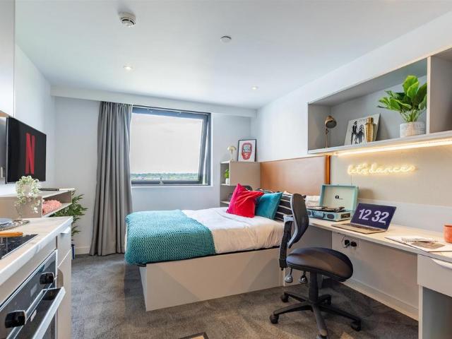 Studio to rent