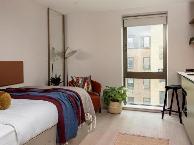 Studio to rent