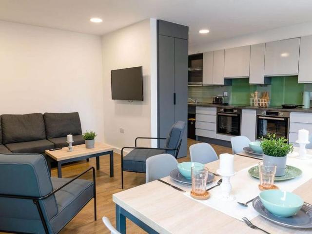 Studio to rent