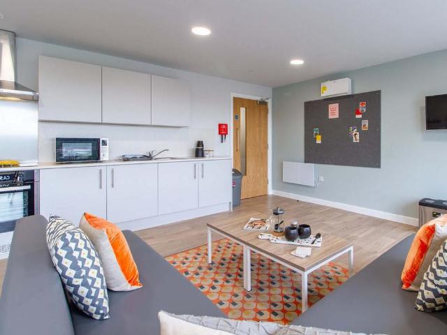 Studio to rent