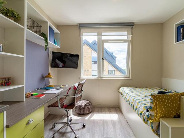 Studio to rent