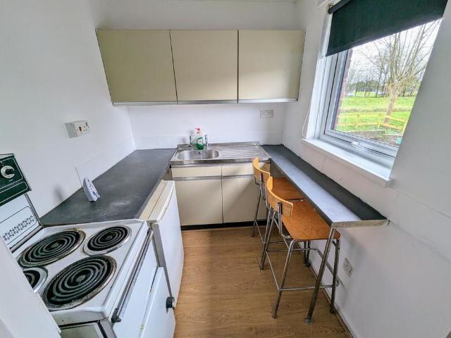 Studio to rent