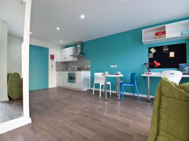 Studio to rent