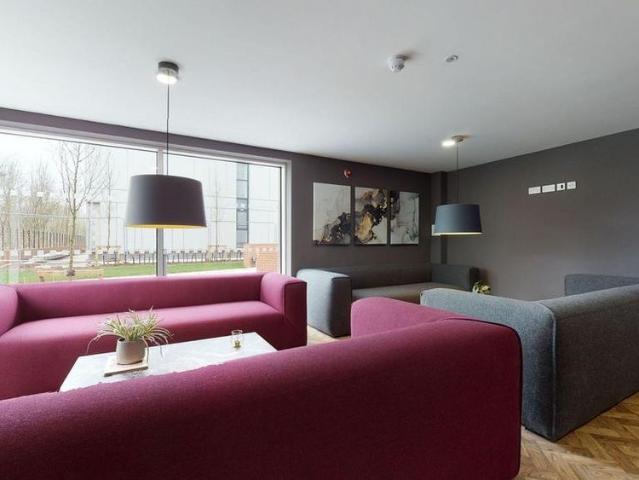 Studio to rent