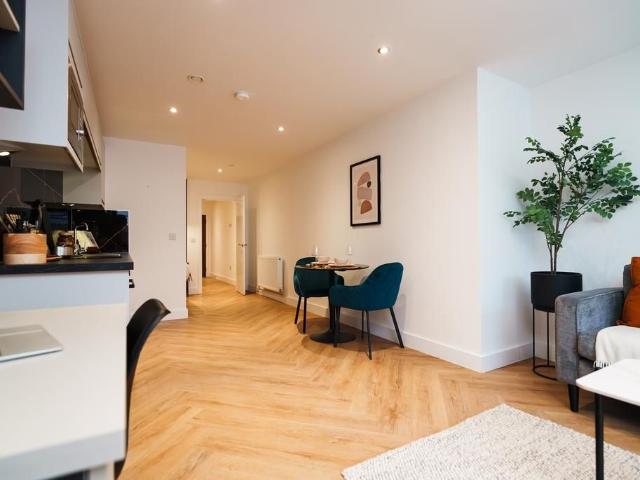 Studio to rent