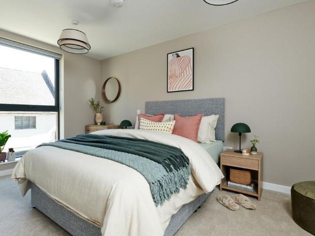 Studio to rent