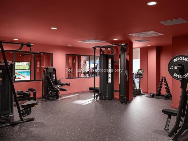 Studio to rent