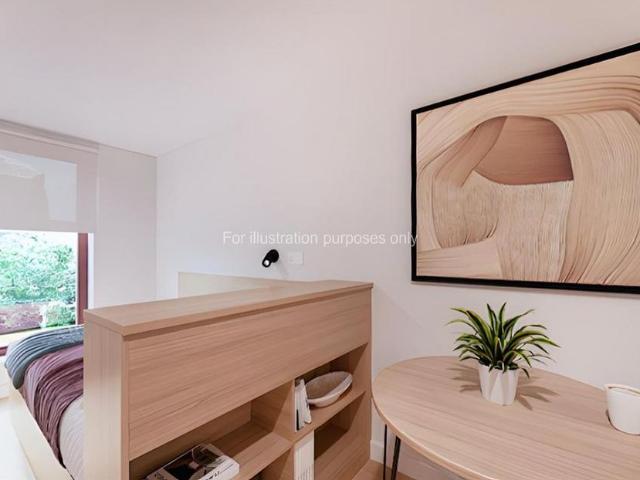 Studio to rent