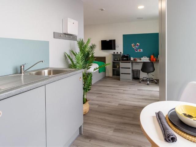 Studio to rent